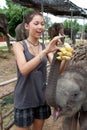 Girl is feeding baby elephant Royalty Free Stock Photo