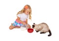 Girl feeding cat with milk Royalty Free Stock Photo