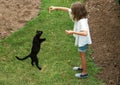 Girl feeding cat. Royalty Free Stock Photo