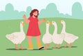 Girl Feeding Fowl on Nature. Child in Outdoor Zoo Park or Farm. Baby Character Care of Geese Birds on Poultry Farmland