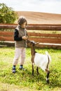 Girl Feeding goat Royalty Free Stock Photo