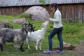 Girl feeding a goat Royalty Free Stock Photo