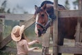 Girl feeding her horse Royalty Free Stock Photo