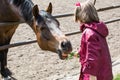 Girl feeding a horse Royalty Free Stock Photo