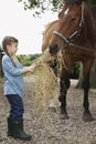 Girl Feeding Horse Hay Royalty Free Stock Photo