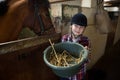 Girl feeding the horse in the stable Royalty Free Stock Photo