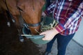 Girl feeding the horse in the stable Royalty Free Stock Photo