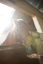 Girl feeding the horse in the stable Royalty Free Stock Photo