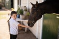 Girl feeding a horse in the stable Royalty Free Stock Photo