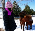 A girl feeding horses Royalty Free Stock Photo