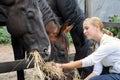 Girl feeding horses in the farm Royalty Free Stock Photo