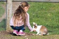 Girl feeding rabbit Royalty Free Stock Photo