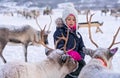 Girl feeding reindeers in the winter