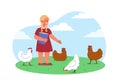 Girl feeds chickens vector concept Royalty Free Stock Photo