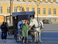 Girl feeds-drawn carriage horse on the Palace square in Saint-Pe