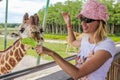 Woman feeding giraffe