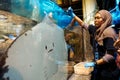 The girl feeds a huge stingray in the aquarium