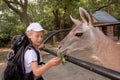 Girl feeds lama