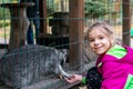 The girl feeds raccoons at the zoo. A child feeds a raccoon in a cage at the city zoo. Raccoon at the zoo. Hands provide