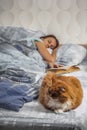 The girl fell asleep in a cozy bed reading a book. Along with the woman on the bed lies a fat, fluffy red cat Royalty Free Stock Photo