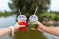 The girl and fella during the walk holds in hands a fresh drink on a background of green park