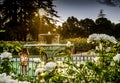 Girl on fence looking at fountain Royalty Free Stock Photo