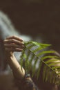 Girl with a fern leaf in the forest with a waterfall in the background