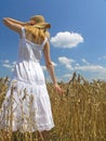 Girl in field Royalty Free Stock Photo
