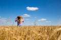 Girl in a field on the background of wheat under a blue sky Sunny day.