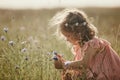 Girl in a field collects a bouquet of flowers. little girl collects flowers in the field Royalty Free Stock Photo