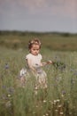 Girl in a field collects a bouquet of flowers. little girl collects flowers in the field Royalty Free Stock Photo