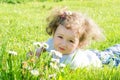 Girl in field with daisies. child is playing with flowers in nature