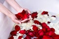 Girl fill bath with red and white rose petals. concept of cosmetic and salon spa procedures at home Royalty Free Stock Photo