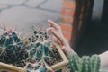 Girl finger touching a thorn of a cactus plant