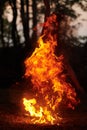 Girl fire dancing performance at outdoor art festival, smooth movements of female artist