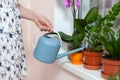 The girl florist watered the house plants from the watering can. On the window-sill is a pot of orchid, zamioculcas and dieffenbac Royalty Free Stock Photo