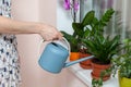 The girl florist watered the house plants from the watering can. On the window-sill is a pot of orchid, zamioculcas and dieffenbac