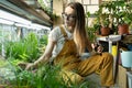 Girl florist work in greenhouse with plants for home garden, flower shop. Woman gardener in orangery