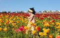 Girl in the flower field Royalty Free Stock Photo