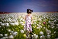 Girl In The Flower Field