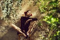 Girl with flower in mouth sitting on chair Royalty Free Stock Photo