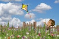 Girl flying a kite in garden