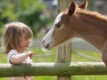 Girl and Foal Royalty Free Stock Photo