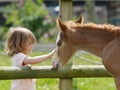 Girl and Foal Royalty Free Stock Photo
