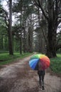 Girl in forest at a rainy day Royalty Free Stock Photo