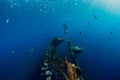 Girl freediver glides with fins at Liberty wreck ship In Bali. Freediving in blue ocean Royalty Free Stock Photo