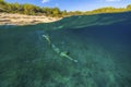 Girl freediving in the Adriatic Sea on Hvar island