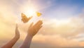 The girl frees the butterfly from the jar, golden blue moment Concept of freedom Royalty Free Stock Photo