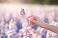 The girl frees the butterfly from the jar, golden blue moment Concept of freedom Royalty Free Stock Photo