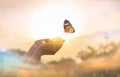 The girl frees the butterfly from moment Concept of freedom